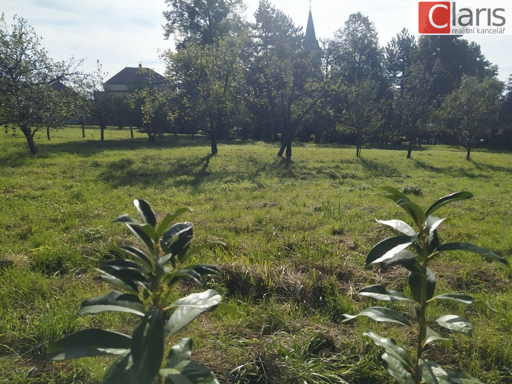 Prodej stavebního pozemku Starojická Lhota - obrázek č.3