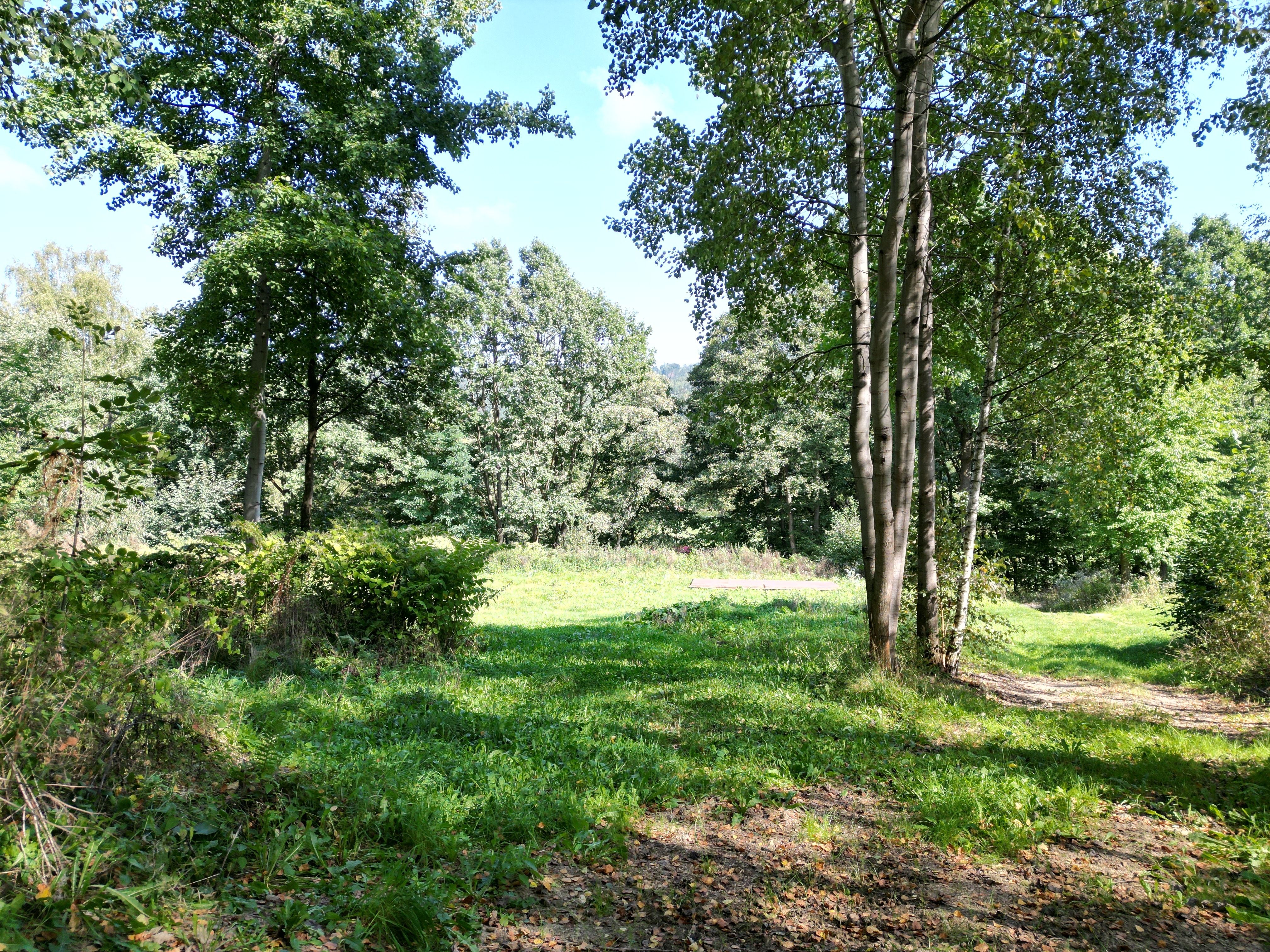 Prodej pozemku v Šumperku 1267 m² - obrázek č.8