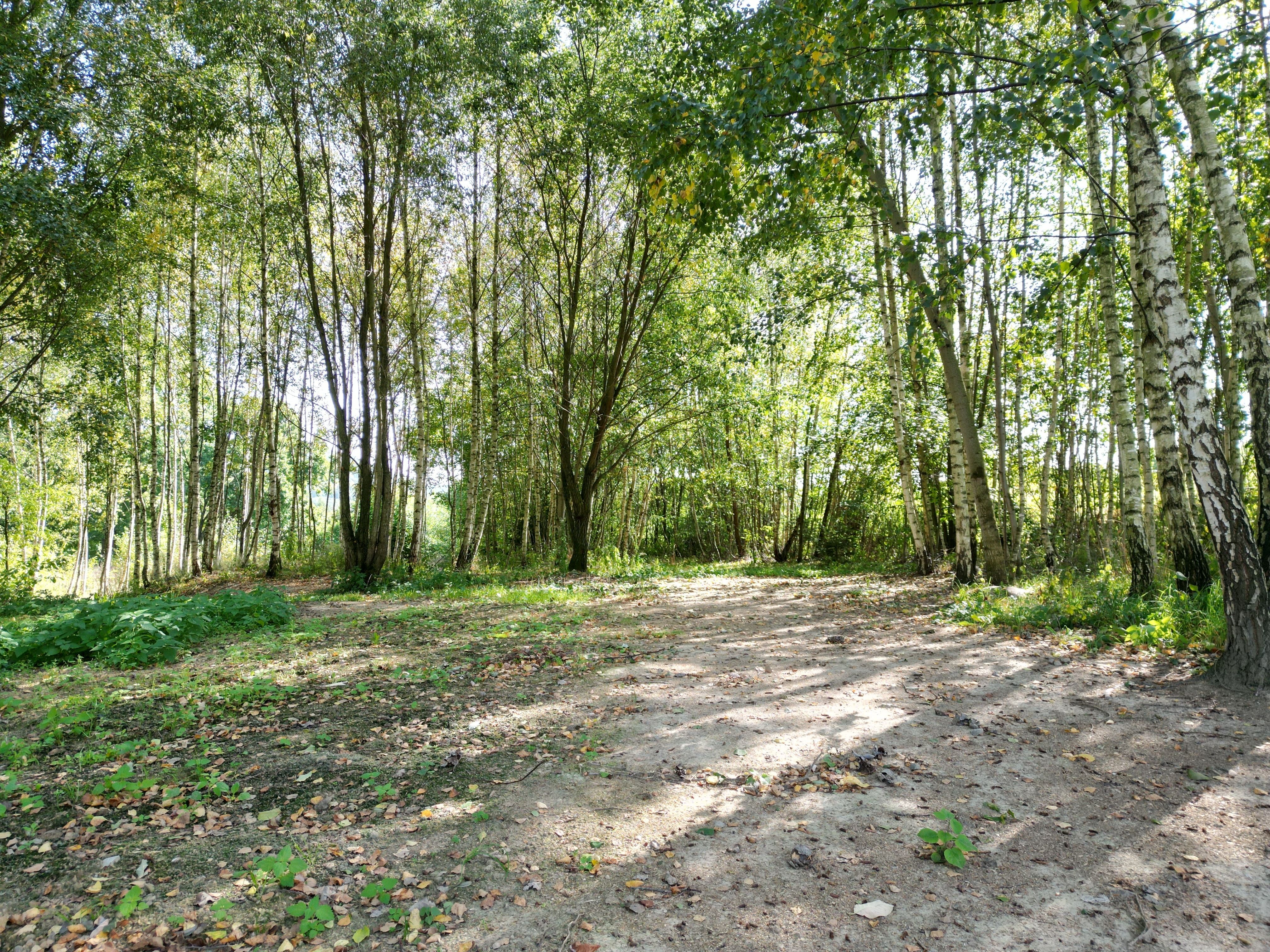 Prodej pozemku v Šumperku 2083 m² - obrázek č.6