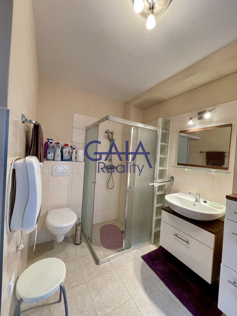 Ideální bydlení pro dvě generace nebo investice - obrázek č.24