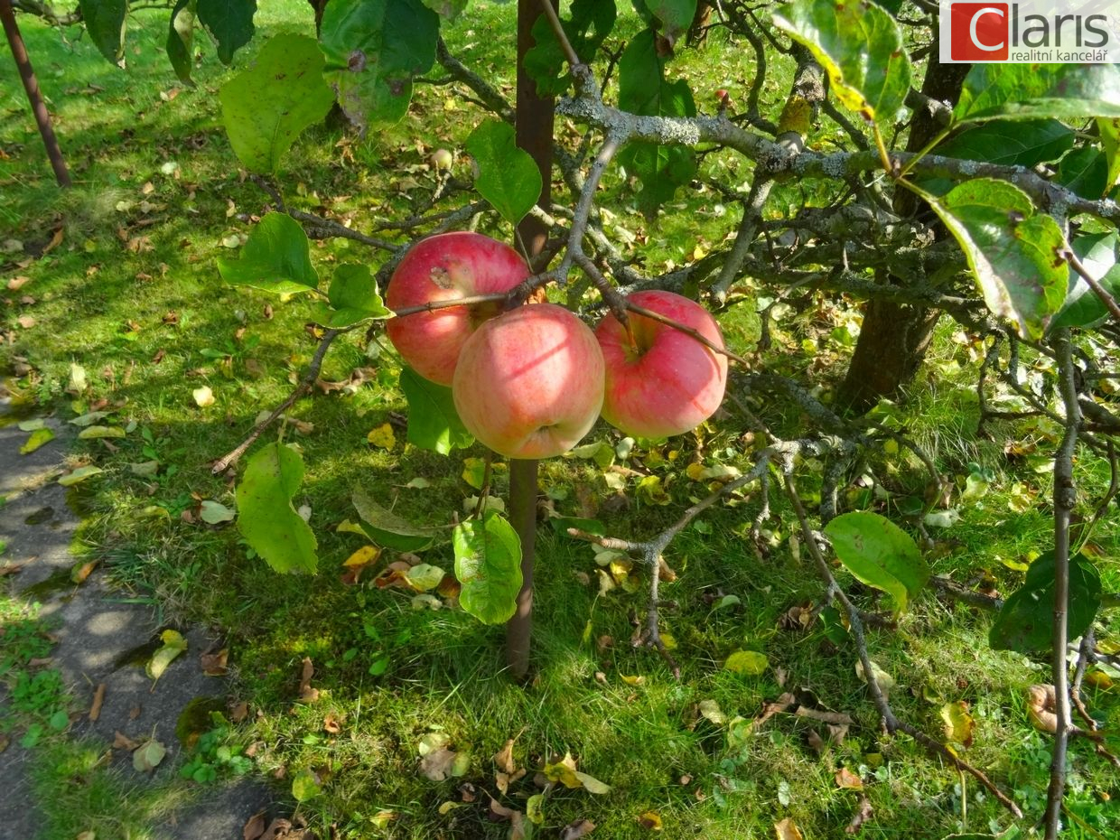 Prodej chatky se zahrádkou, Fulnek - obrázek č.5