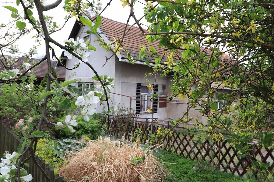 Starší rodinný dům, Roudnice, okr. Hradec Králové - obrázek č.2