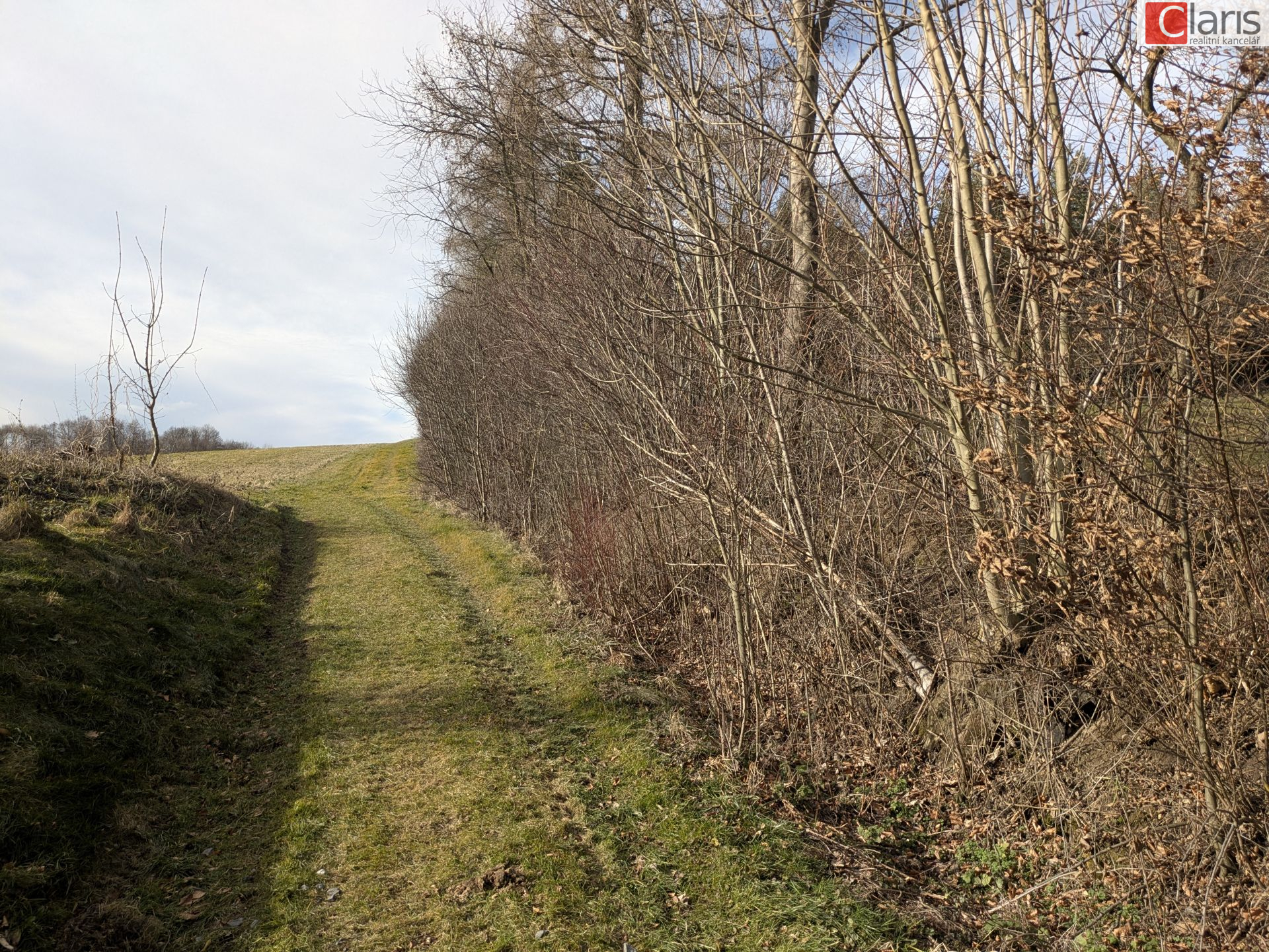Prodej unikátního pozemku v Hodslavicích s výměrou 5300m2 - obrázek č.11