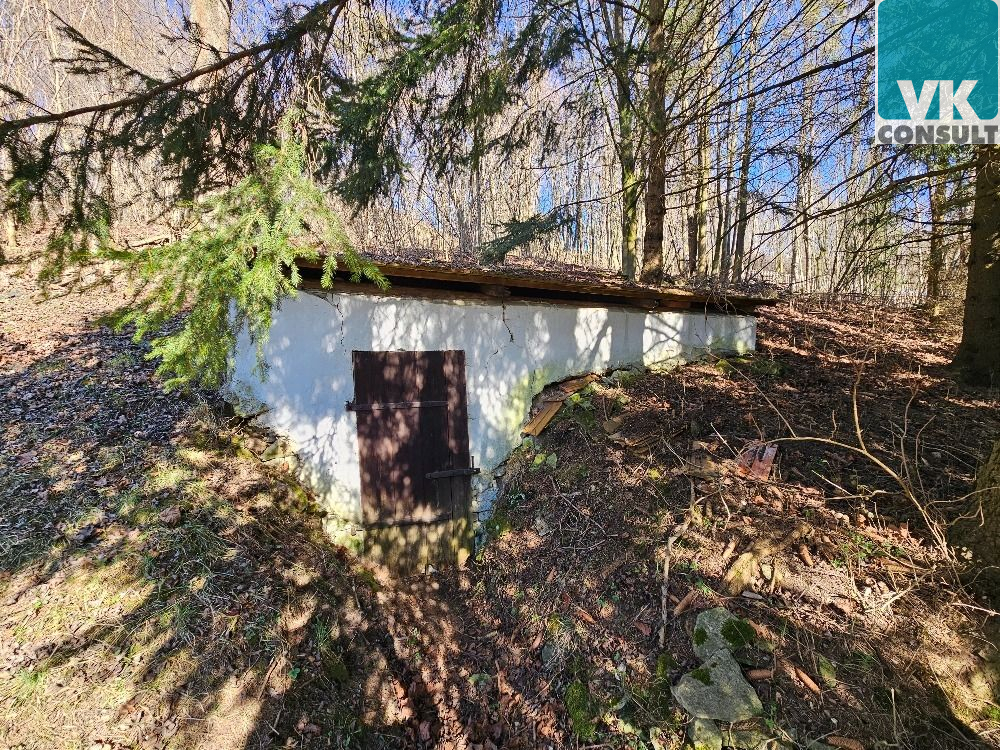 Prodej domu se zahradou 1032 m2 v obci Trstěnice - obrázek č.14