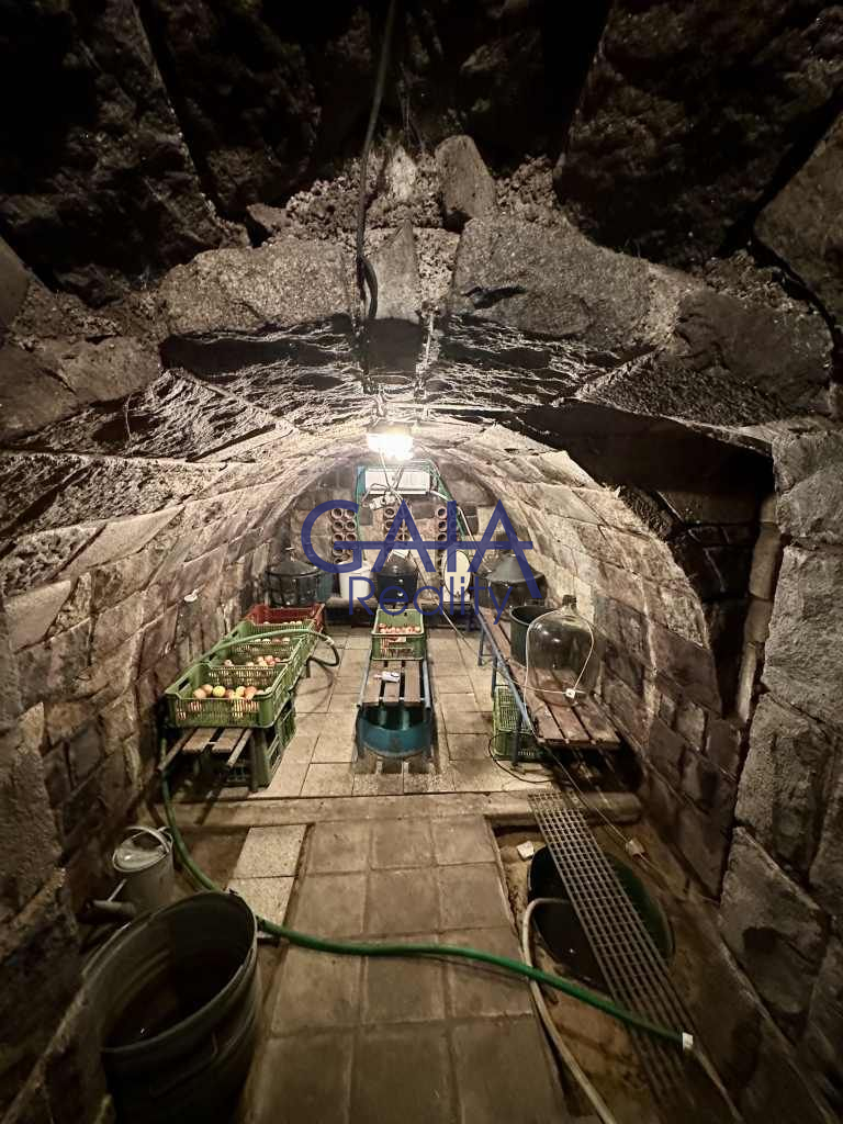 RD Dubňany s velkorysým pozemkem - obrázek č.18