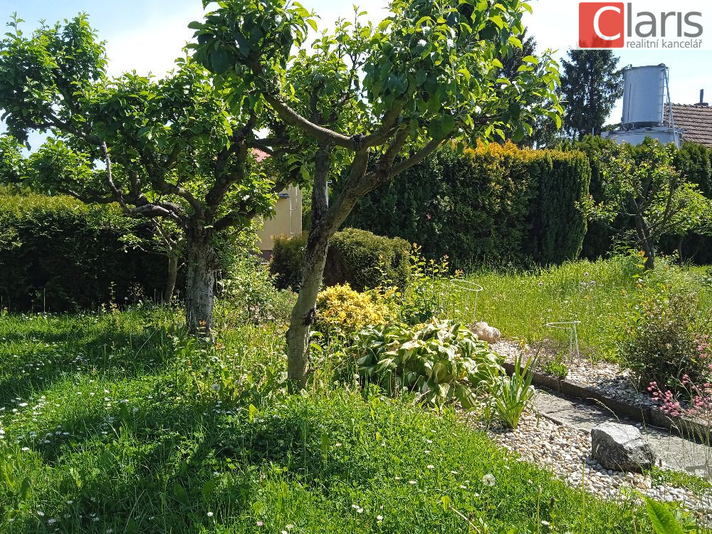 Chatka se zahrádkou, Nový Jičín - obrázek č.4