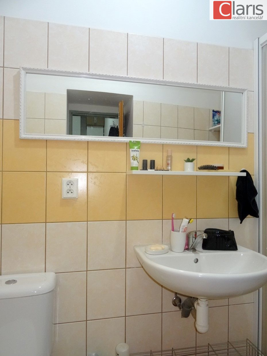 Pronájem bytu 1+kk, Starý Jičín - obrázek č.4