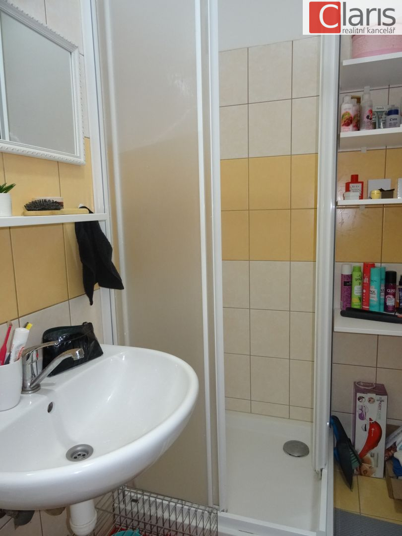 Pronájem bytu 1+kk, Starý Jičín - obrázek č.5