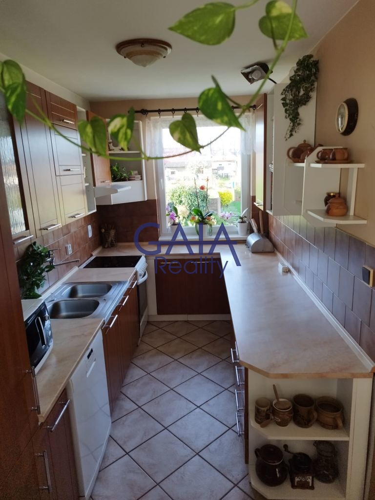 Dům u lesa, bazén, vlastní studna, dobrá dostupnost do Brna - obrázek č.4