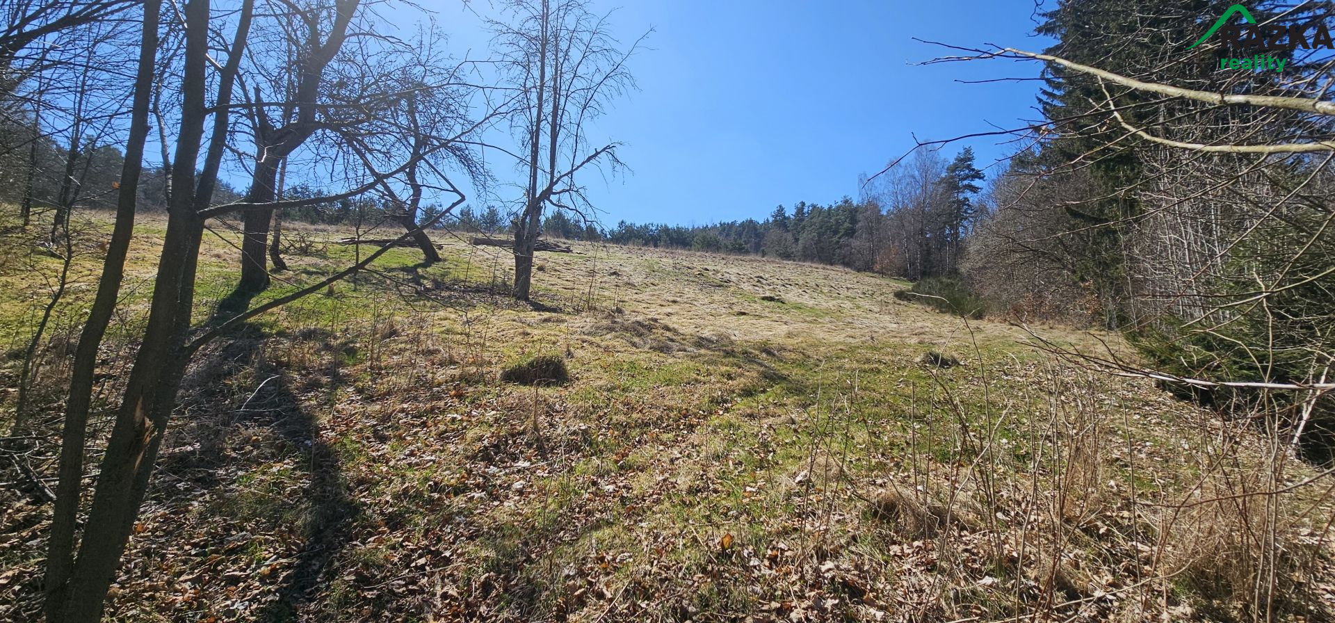 Pozemek (3343 m2) Dlouhý Újezd, okr. Tachov - obrázek č.2