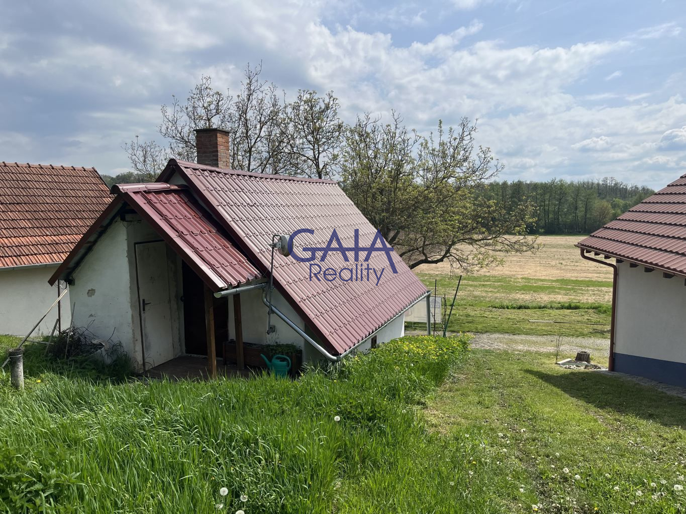 Milovníci vína zpozorněte - obrázek č.14