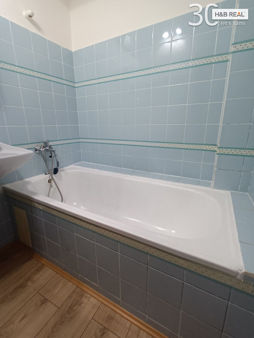 Pronájem bytu 1+1 Vsetín - obrázek č.8