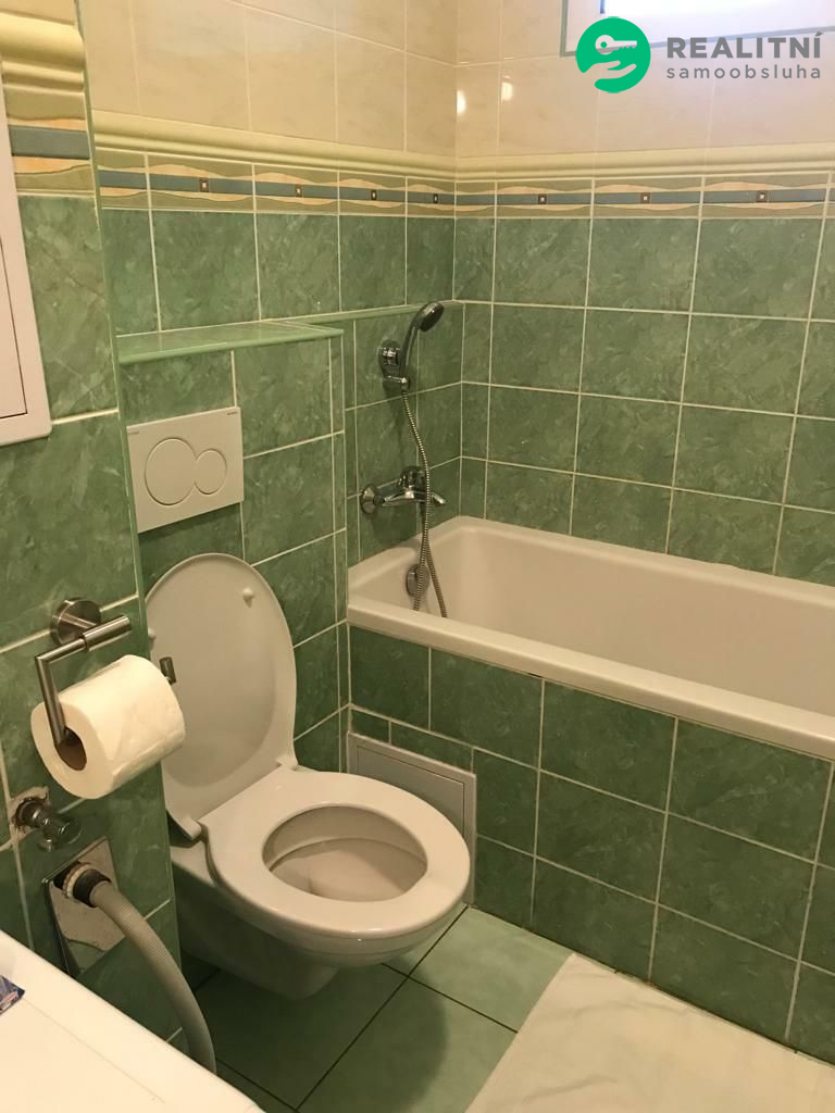 byt 3+kk rekreační oblast Červená Voda - obrázek č.8