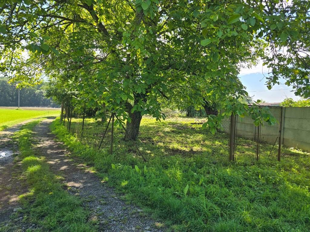 Soubor pozemků, Dolní zahrady, KM - obrázek č.5