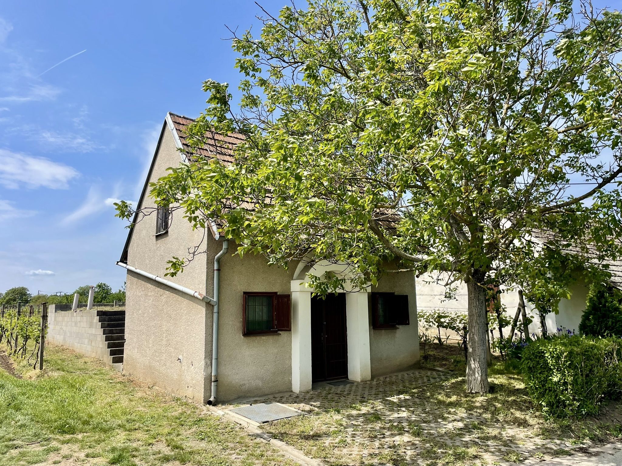 Prodej, Vinný sklep, 1755m2, Mikulčice - titulní obrázek--
