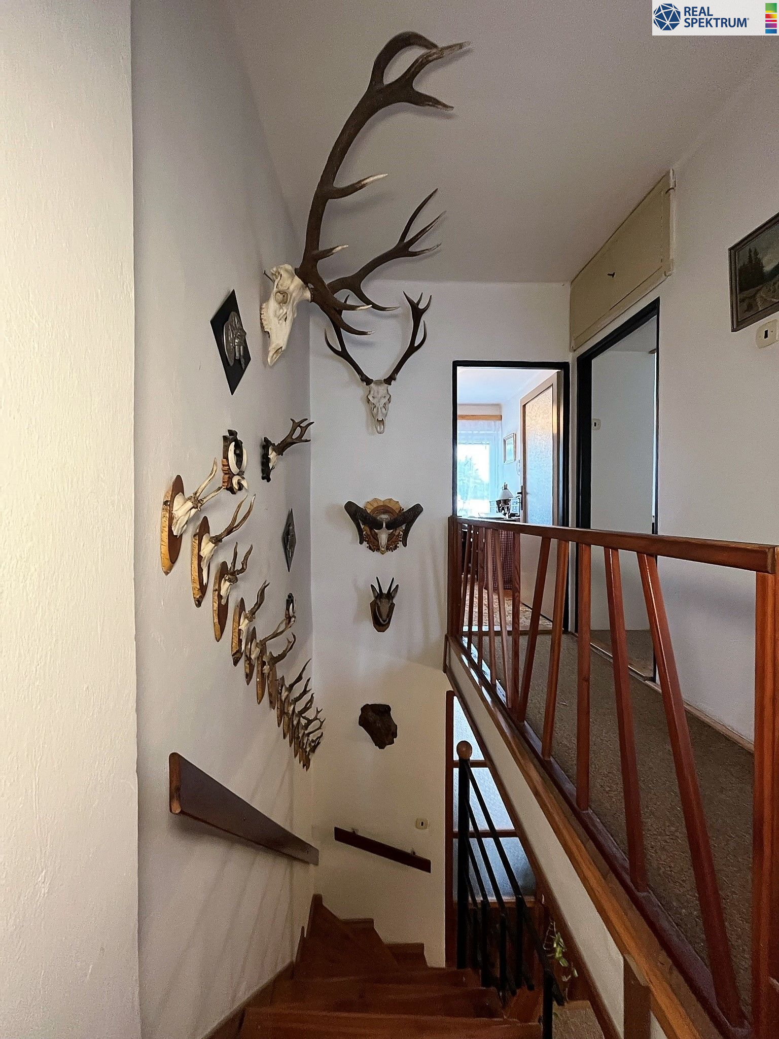 Prodej Řadového RD 5+1, Malšovice HK, pozemek 51 m2 - obrázek č.13