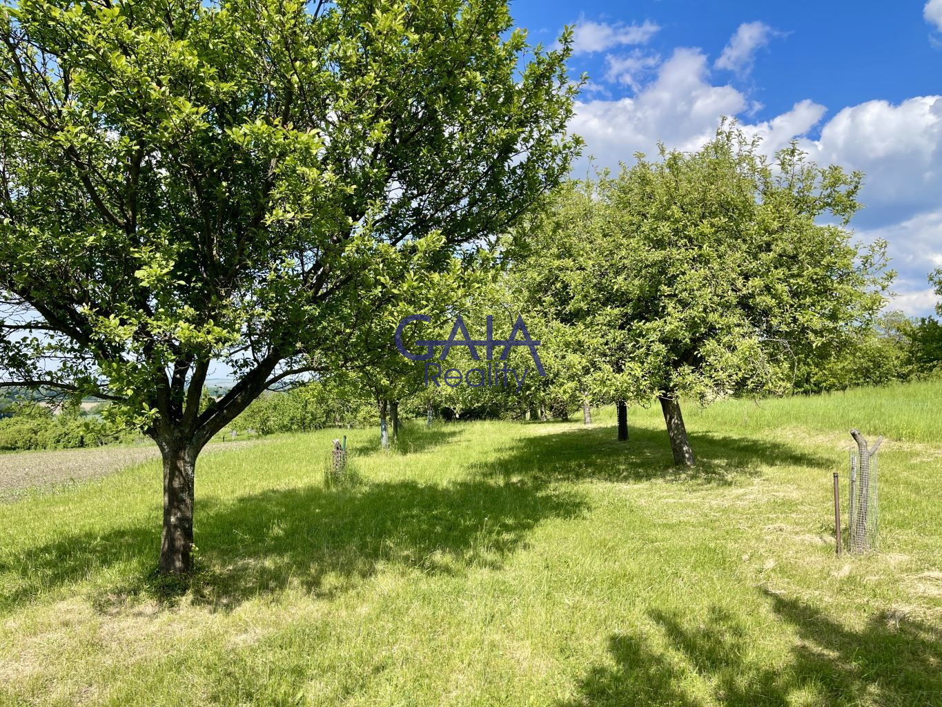 Ovocný sad pod Bílými Karpaty - obrázek č.4