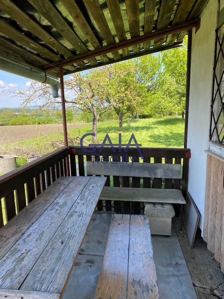 Ovocný sad pod Bílými Karpaty - obrázek č.5