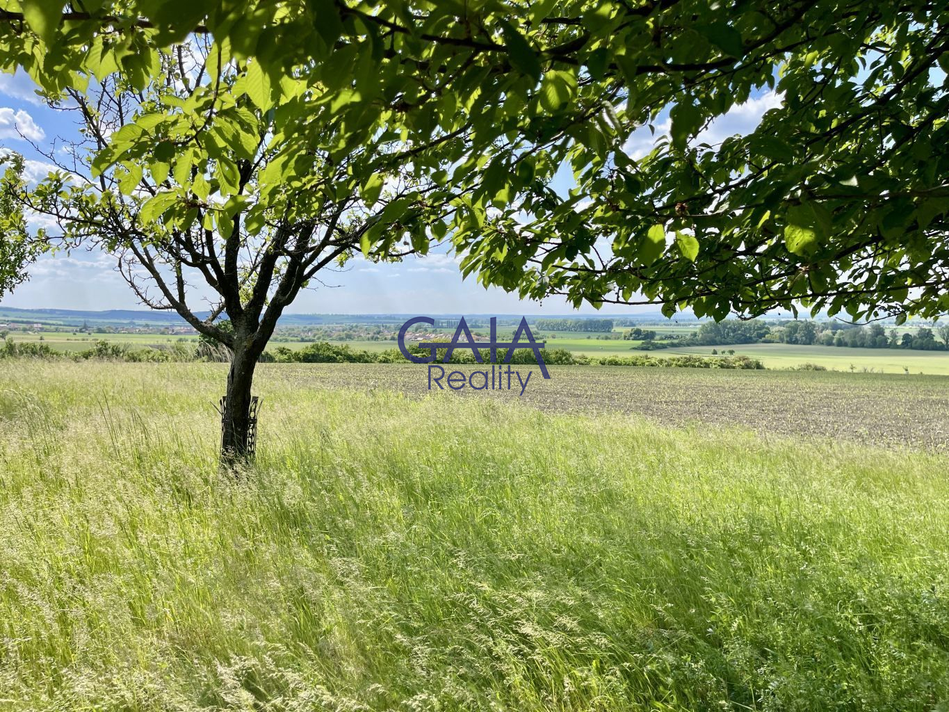 Ovocný sad pod Bílými Karpaty - obrázek č.12