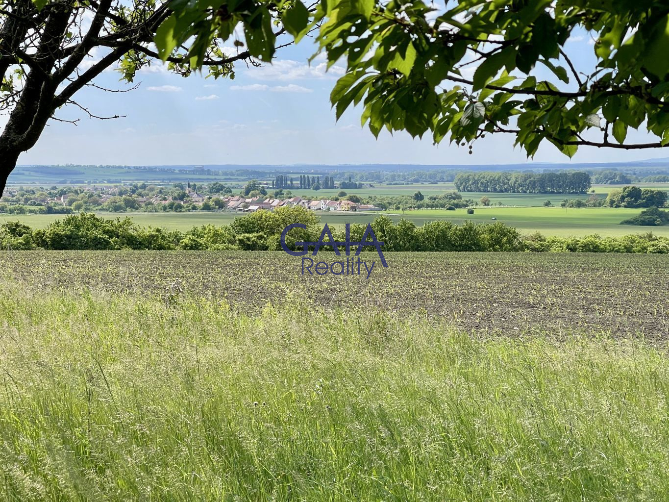 Ovocný sad pod Bílými Karpaty - obrázek č.15