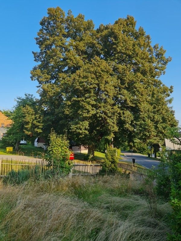 Prodej chalupy ve Studnici - Bakově, okres Náchod - obrázek č.9