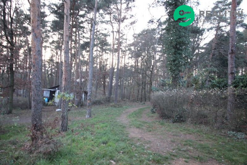 Brněnská přehrada Rozdrojovice - obrázek č.23
