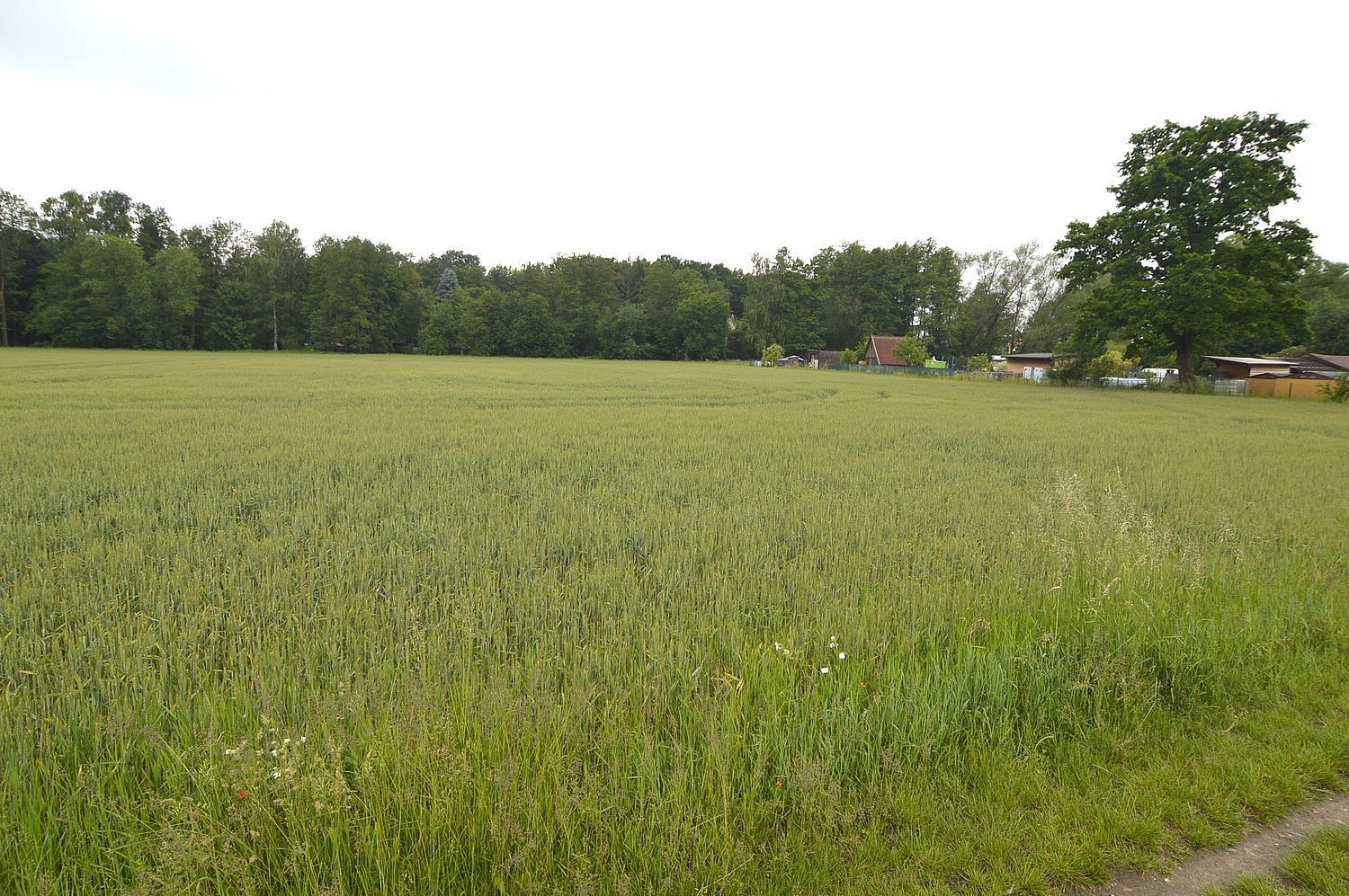Podíl o velikosti 1/2 na pozemku v Týništi nad Orlicí . - obrázek č.3