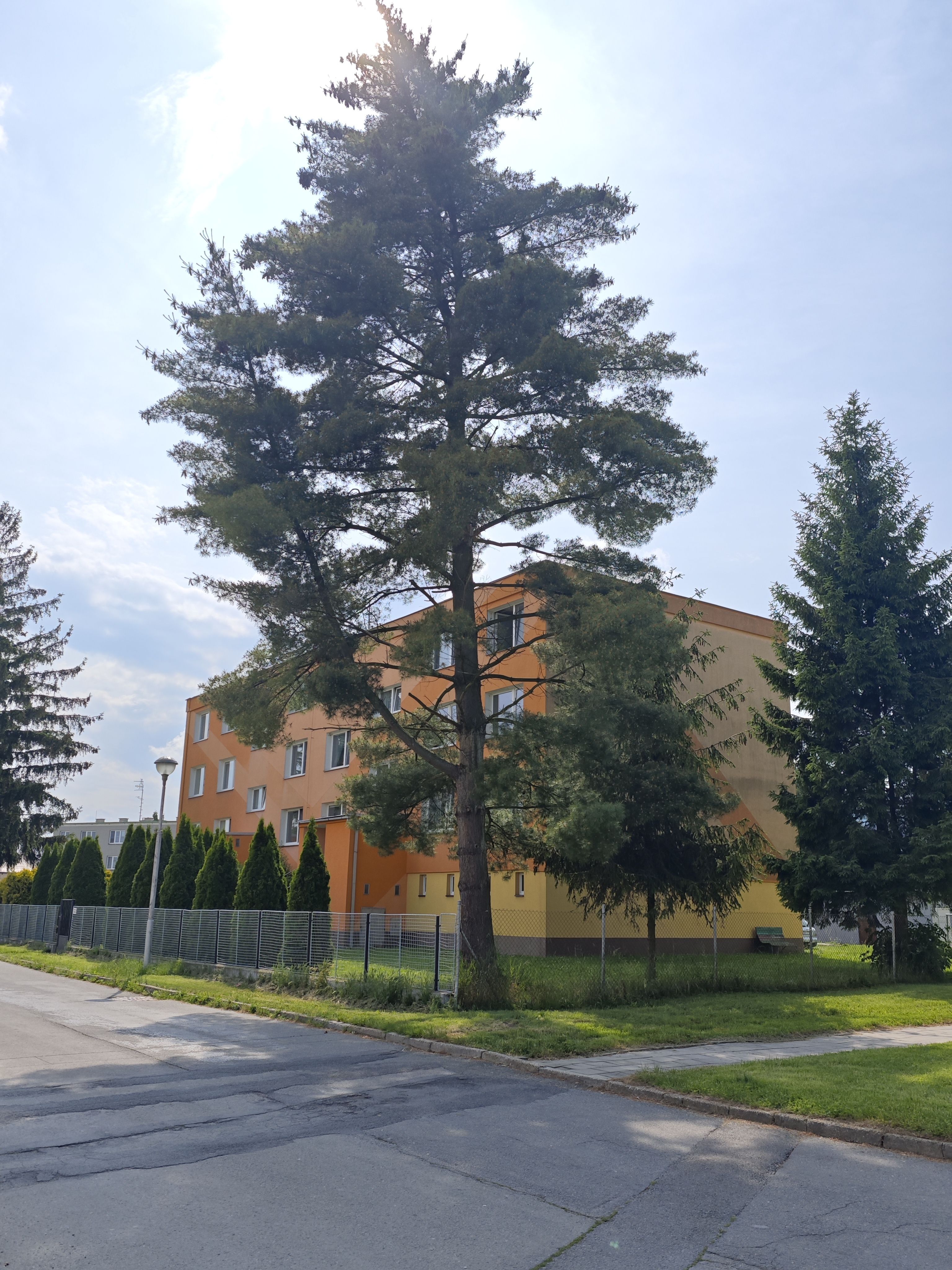 Pronájem hezkého bytu 3+1 po rekonstrukci ve Štěpánově - obrázek č.15