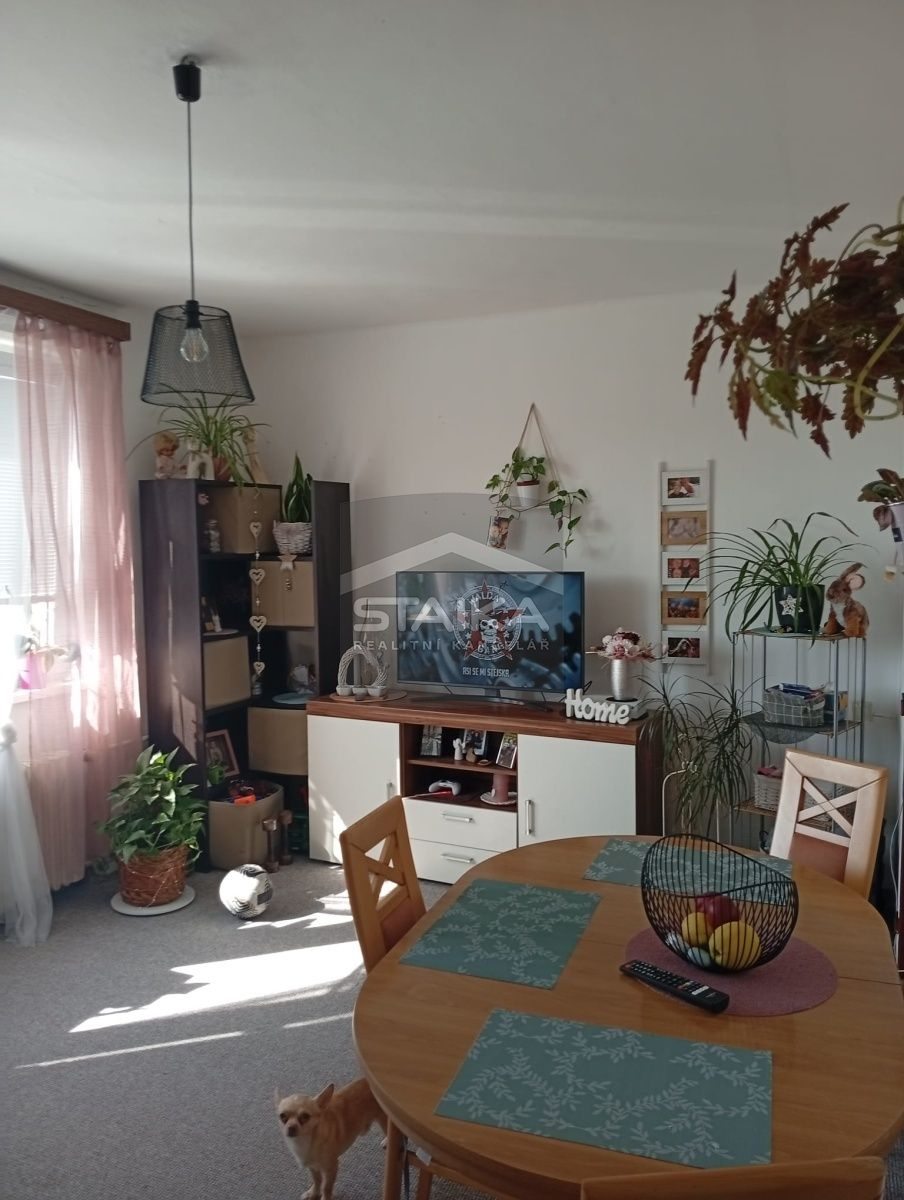 Pronájem bytu 2+kk v Rychnově nad Kněžnou - obrázek č.2