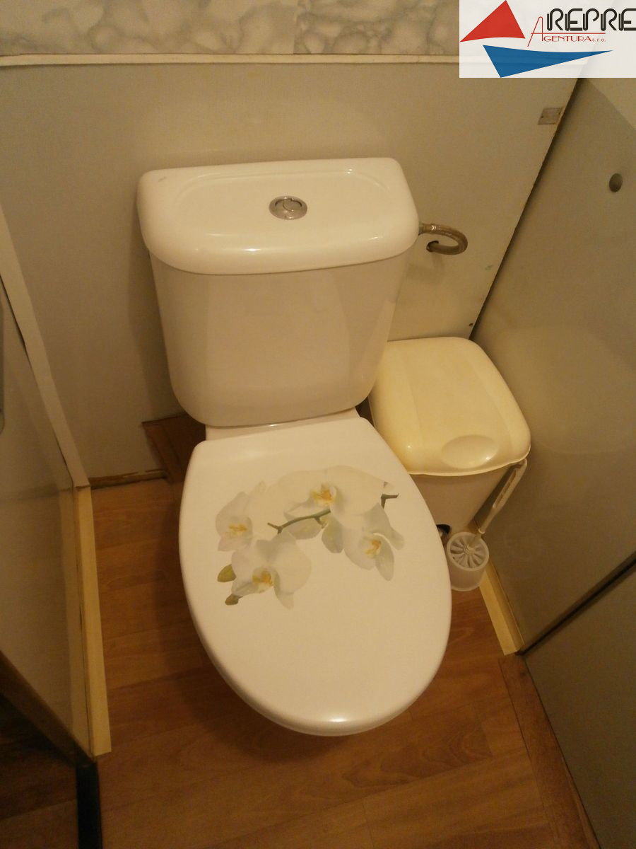 Litoměřice - pronájem bytu 1+1+ lodžie - obrázek č.10