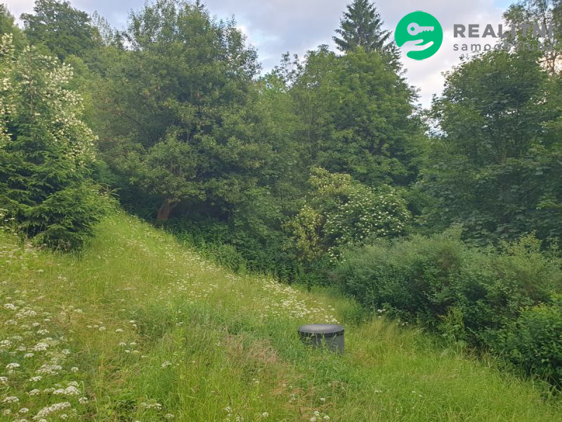 Dům či dva apartmány Desná - obrázek č.12