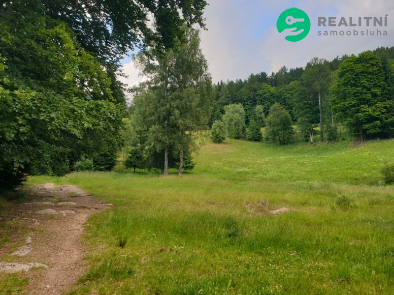 Dům či dva apartmány Desná - obrázek č.16