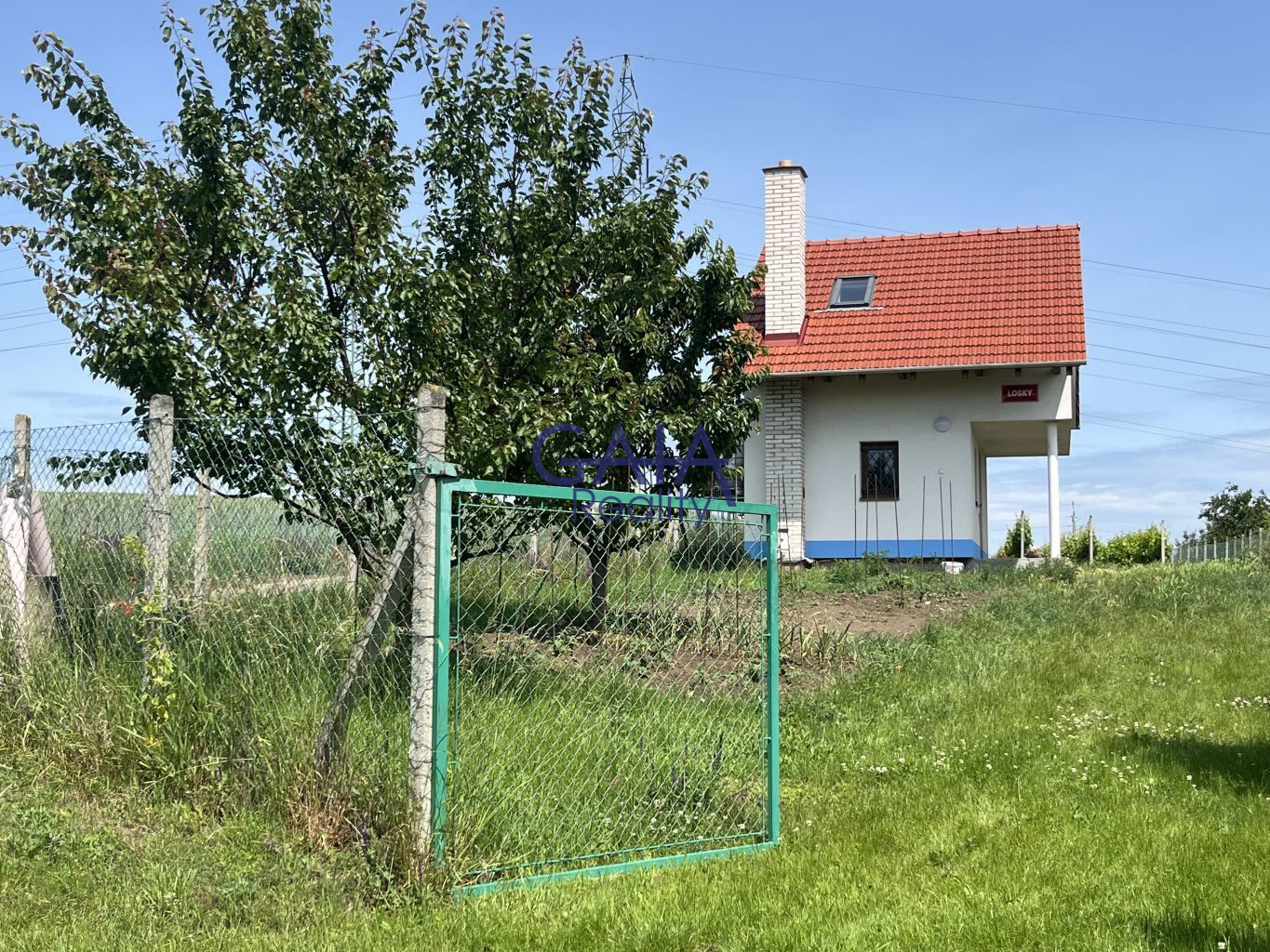 Oplocený vinohrad s chatkou v srdci moravského Toskánska - obrázek č.13