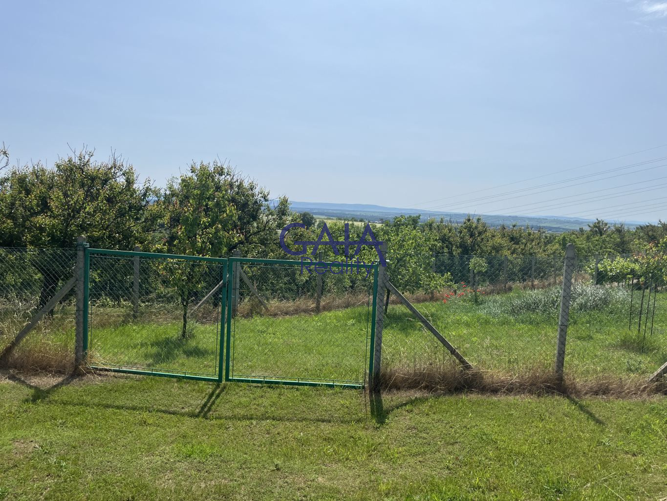 Oplocený vinohrad s chatkou v srdci moravského Toskánska - obrázek č.19