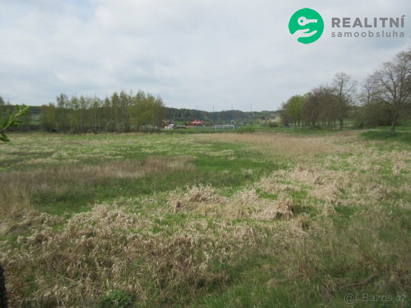 Vyschlý rybník Mšecké Žehrovice, okr.Rakovník - obrázek č.2