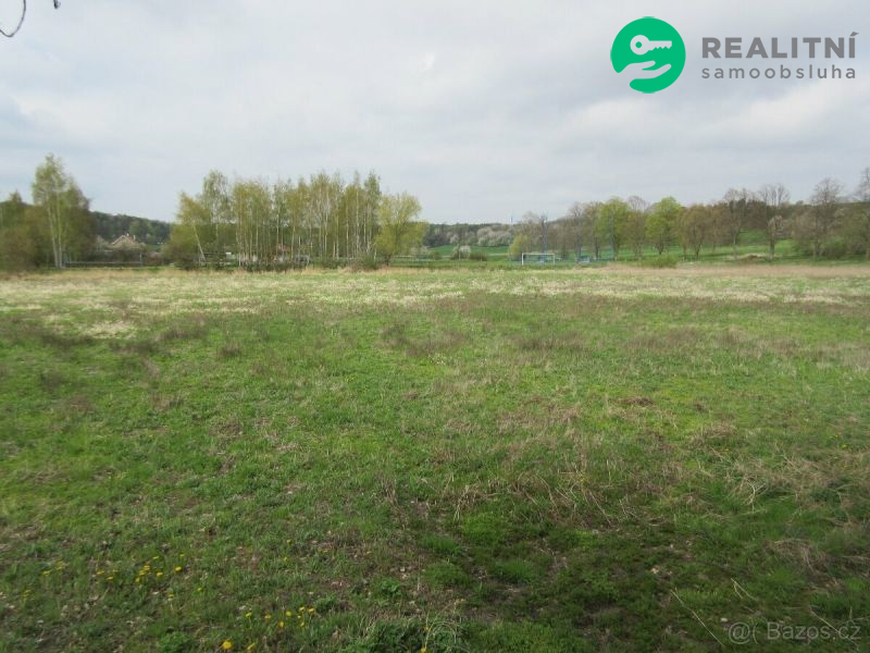 Vyschlý rybník Mšecké Žehrovice, okr.Rakovník - obrázek č.3