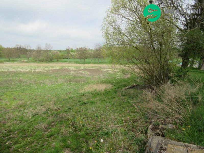 Vyschlý rybník Mšecké Žehrovice, okr.Rakovník - obrázek č.4