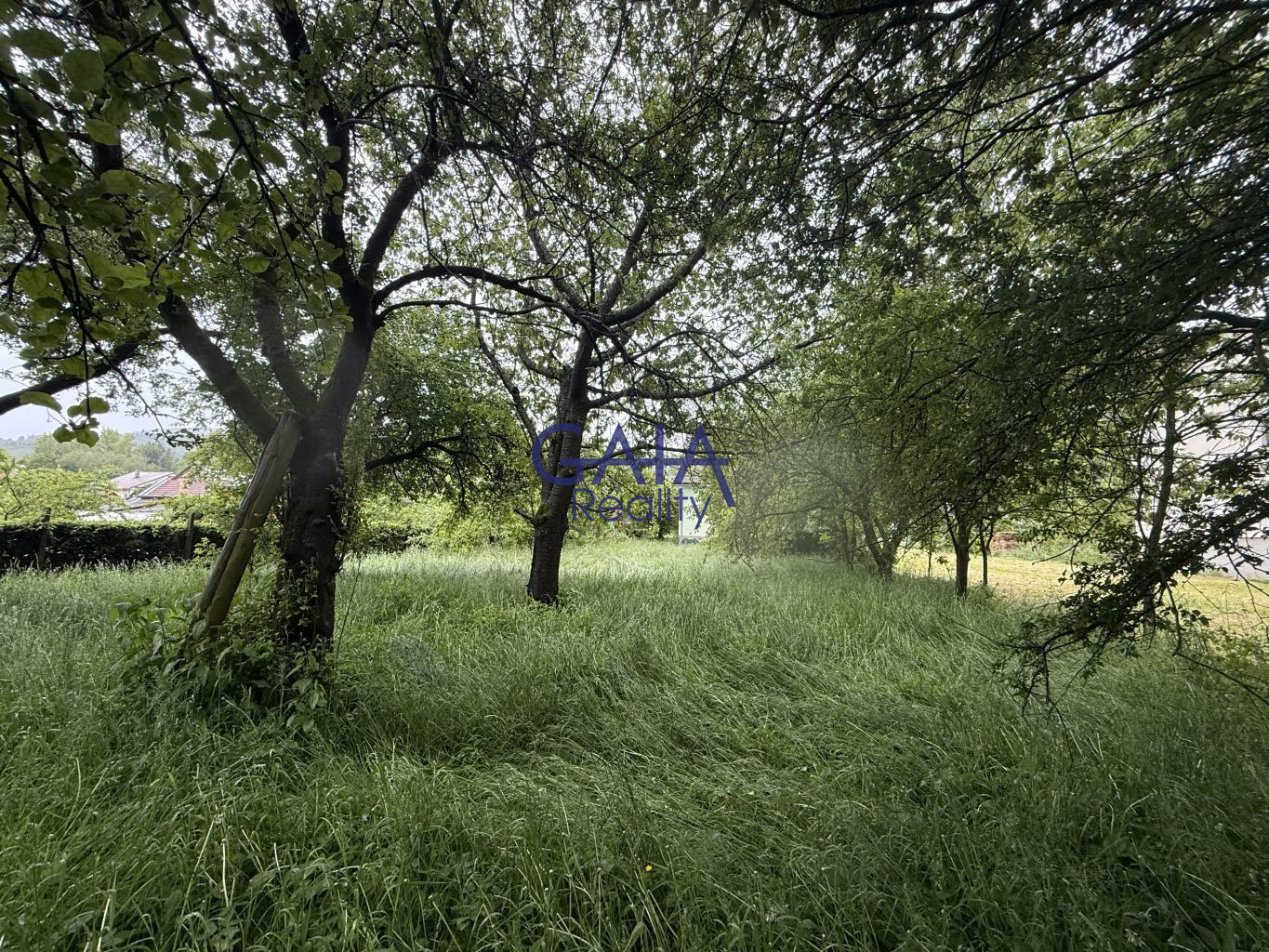 Stavební místo s původním domem v malebné části Svatý Štěpán - obrázek č.15
