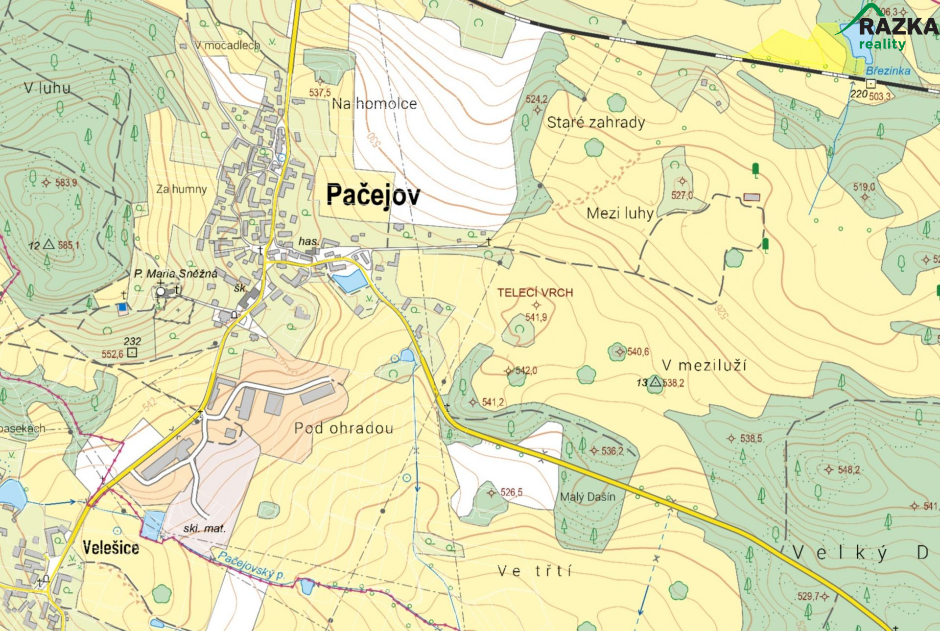 Trvalý travní porost v Pačejově, okres Klatovy - titulní obrázek--