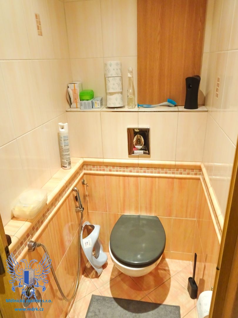 Prodej moderního bytu 3+1 na Mělníku - obrázek č.15