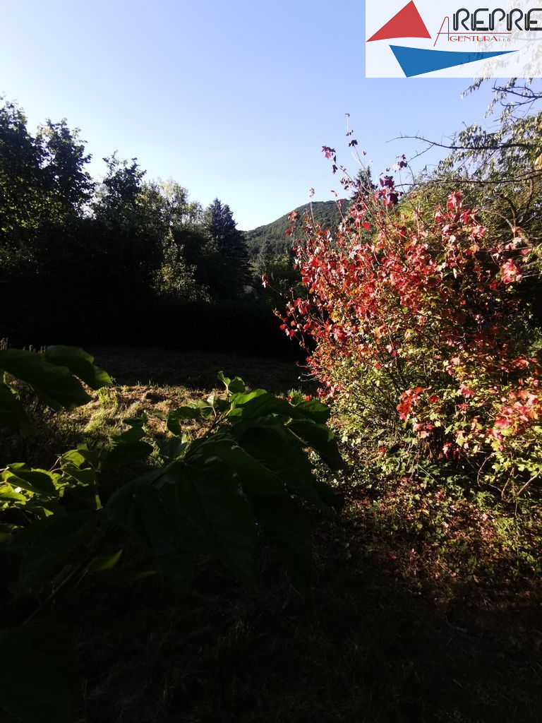 Páleč - prodej chaty - obrázek č.14