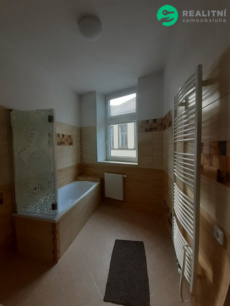 byt 1+1 40 m 2 Trhové Sviny centrum - obrázek č.7