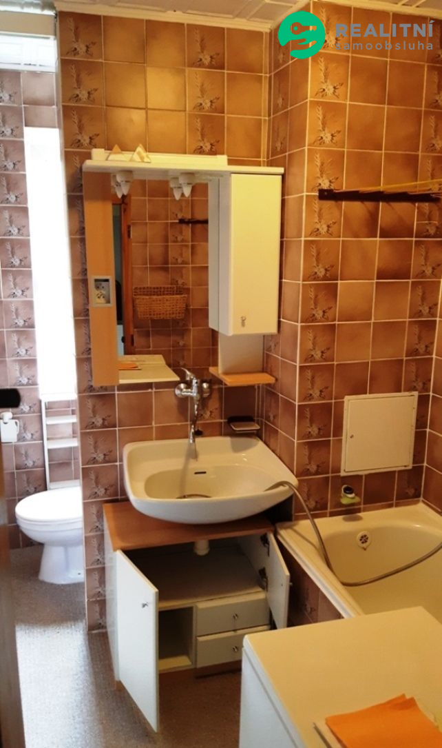 Prodej bytu 2+1 66 m² Karlovy Vary Drahovice - obrázek č.4