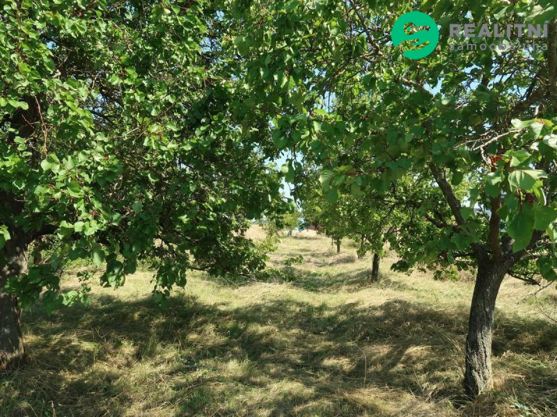 zahrada_k_rodinnemu_domu_velke_pavlovice