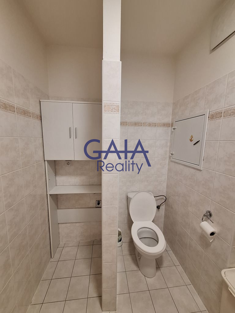 Pronájem bytu 1+kk, 46 m² s balkonem – Prostějov, Krasice - obrázek č.7