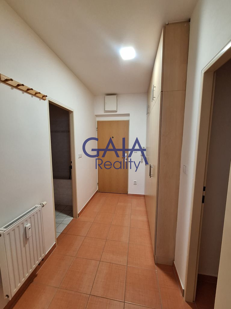 Pronájem bytu 1+kk, 46 m² s balkonem – Prostějov, Krasice - obrázek č.9