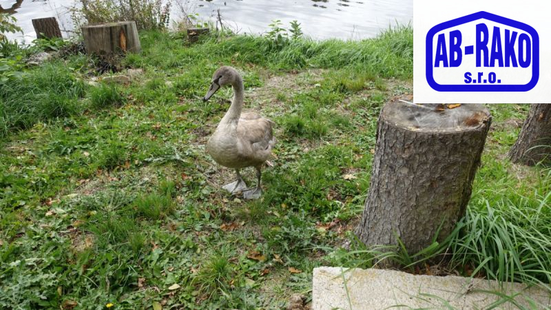 CHATA U VODY - dokonalost a luxus u Ratmíráku si vysníte - obrázek č.29