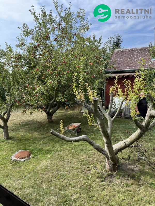 Prodám zahradu 440m2 Horní Litvínov - obrázek č.9