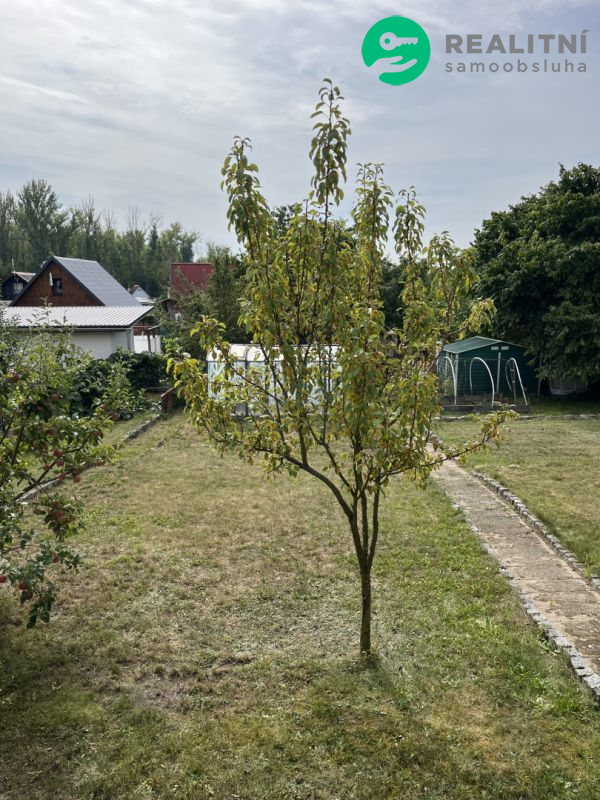 Prodám zahradu 440m2 Horní Litvínov - obrázek č.13