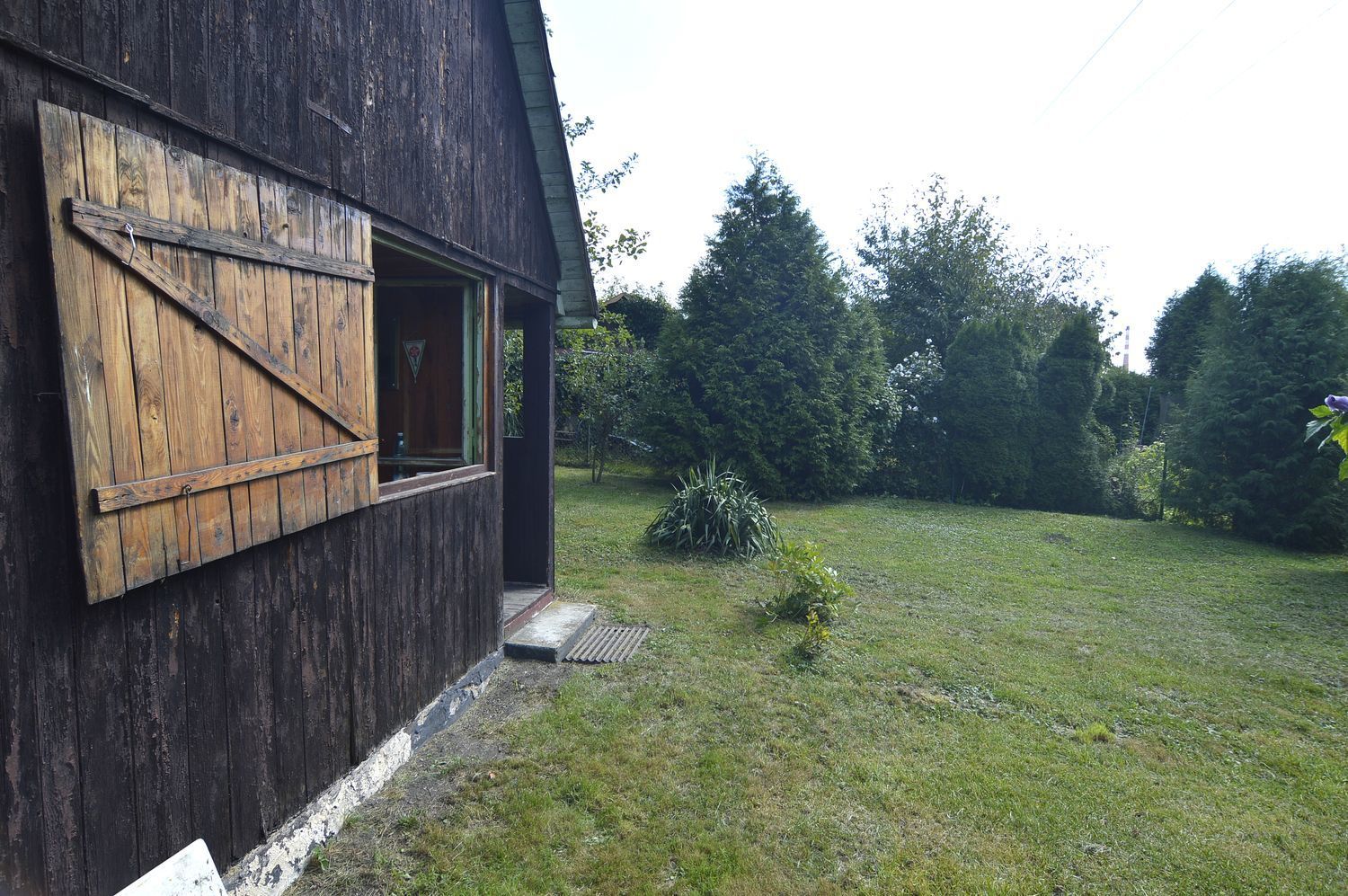 Zahrada u lesa se zahradním domkem v Týništi nad Orlicí. - obrázek č.4